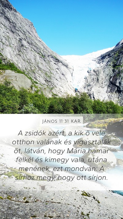 János 11:31 KAR Bible Verse Image