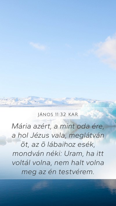 János 11:32 KAR Bible Verse Image