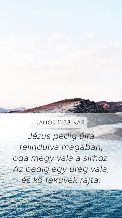 János 11:38 KAR Mobile Phone Wallpaper - Jézus pedig újra felindulva magában, oda megy - Mobile Bible Verse Wallpaper
