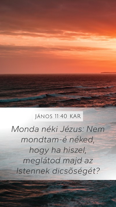 János 11:40 KAR Bible Verse Image