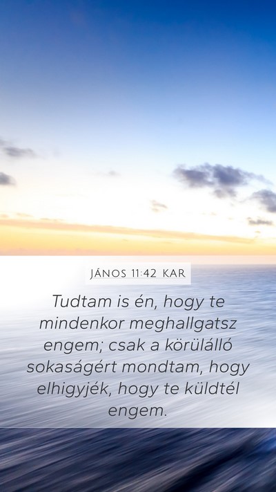 János 11:42 KAR Bible Verse Image