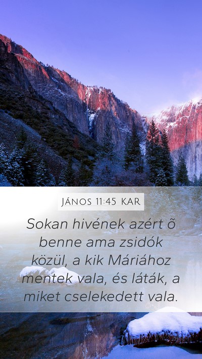 János 11:45 KAR Bible Verse Image