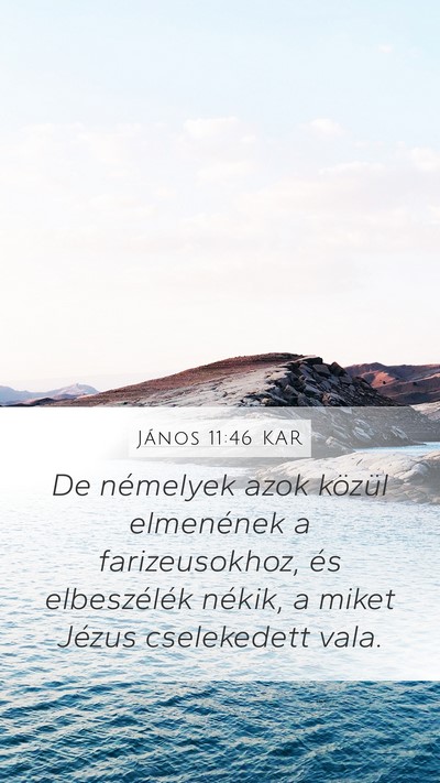 János 11:46 KAR Bible Verse Image