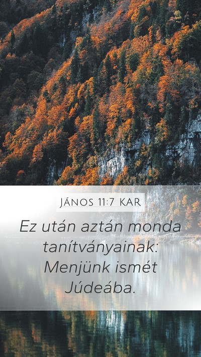 János 11:7 KAR Bible Verse Image