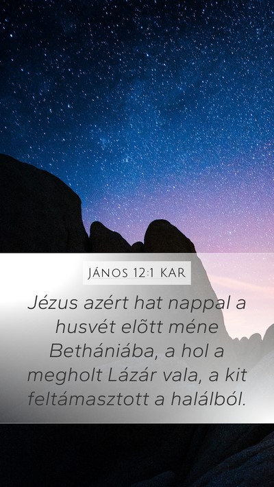 János 12:1 KAR Bible Verse Image