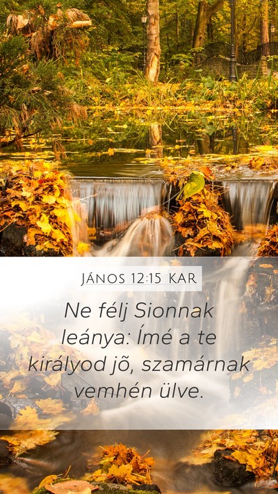 János 12:15 KAR Bible Verse Image