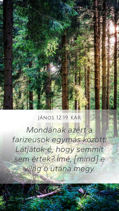 János 12:19 KAR Bible Verse Image