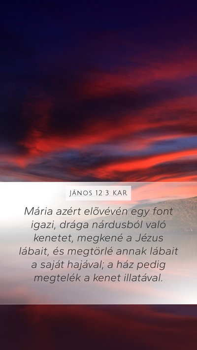 János 12:3 KAR Bible Verse Image