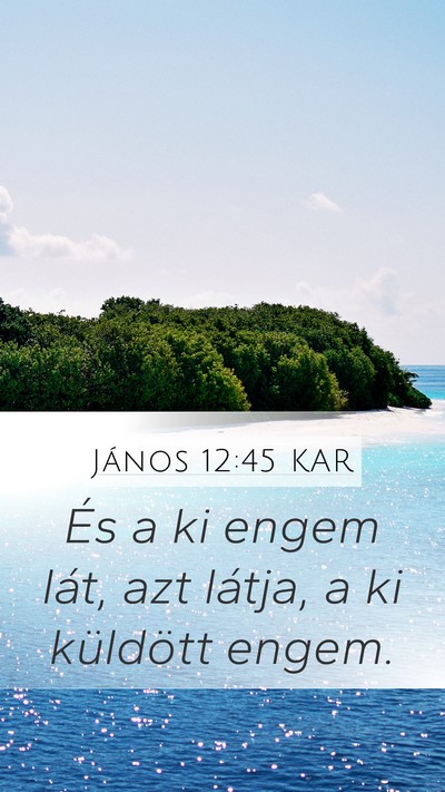 János 12:45 KAR Bible Verse Image
