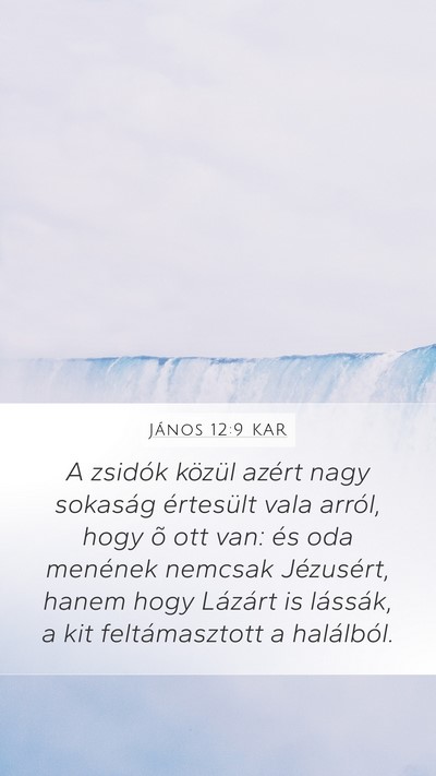János 12:9 KAR Bible Verse Image