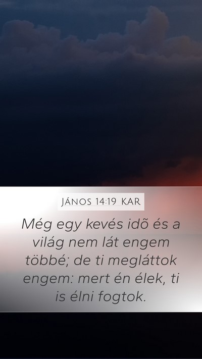 János 14:19 KAR Bible Verse Image