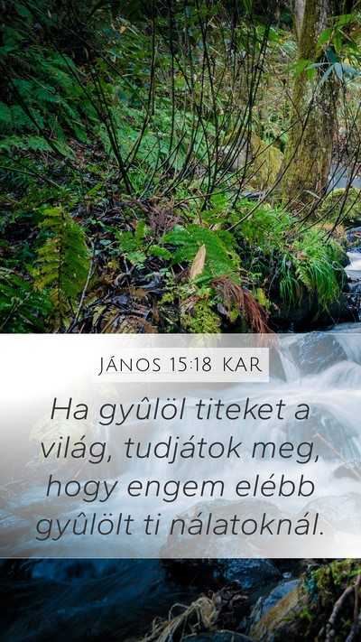 János 15:18 KAR Bible Verse Image