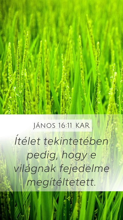 János 16:11 KAR Bible Verse Image