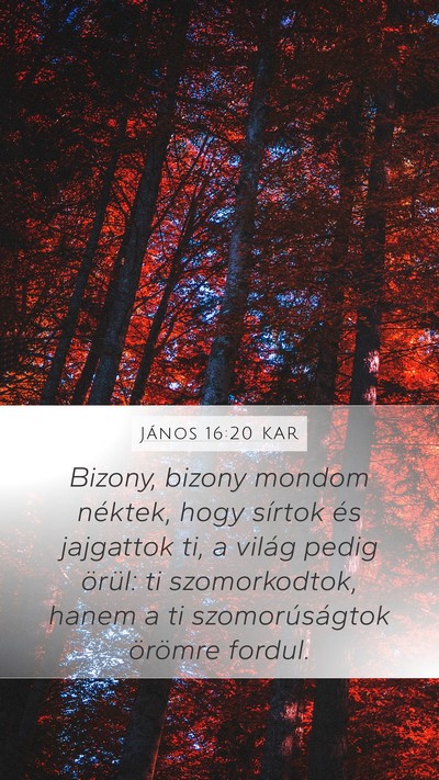 János 16:20 KAR Bible Verse Image
