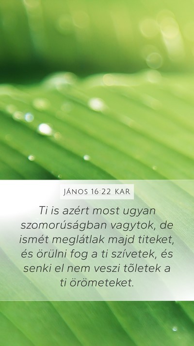 János 16:22 KAR Bible Verse Image