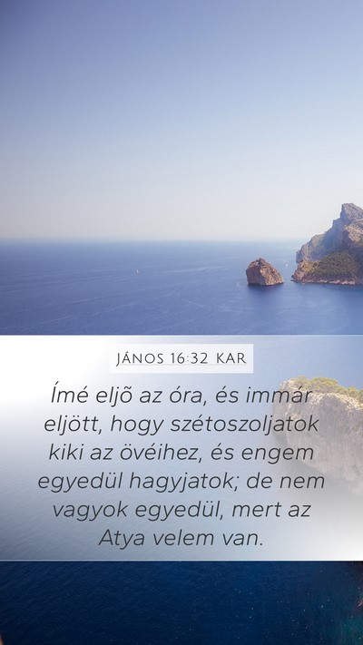 János 16:32 KAR Bible Verse Image