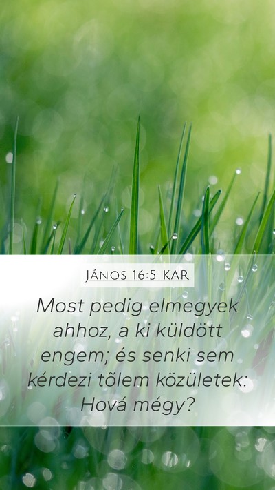 János 16:5 KAR Bible Verse Image