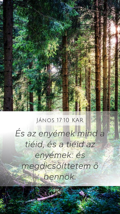 János 17:10 KAR Bible Verse Image