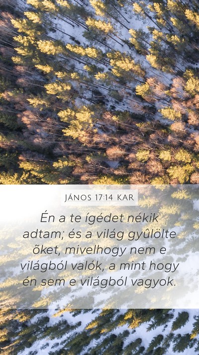 János 17:14 KAR Bible Verse Image