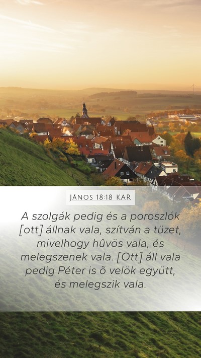 János 18:18 KAR Bible Verse Image