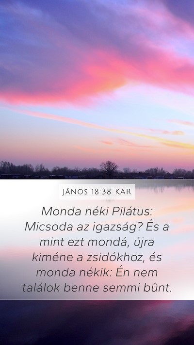 János 18:38 KAR Bible Verse Image