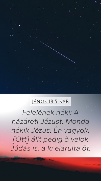 János 18:5 KAR Bible Verse Image