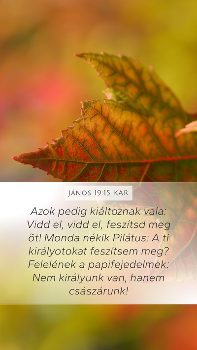 János 19:15 KAR Bible Verse Image