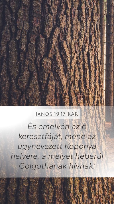 János 19:17 KAR Bible Verse Image