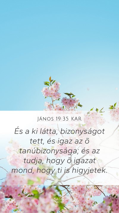 János 19:35 KAR Bible Verse Image