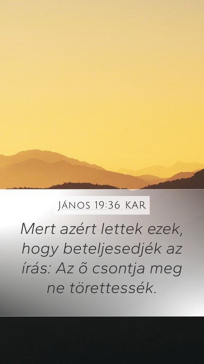 János 19:36 KAR Bible Verse Image