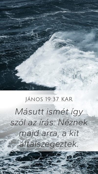 János 19:37 KAR Bible Verse Image
