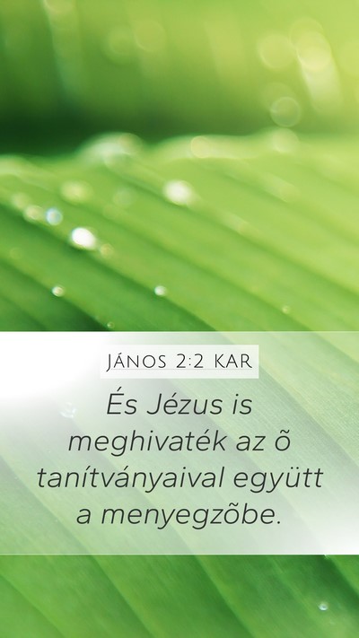 János 2:2 KAR Bible Verse Image