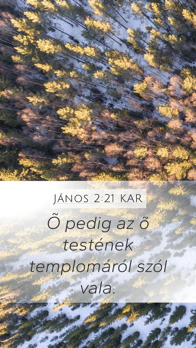 János 2:21 KAR Mobile Phone Wallpaper - Õ pedig az õ testének templomáról szól - Mobile Bible Verse Wallpaper