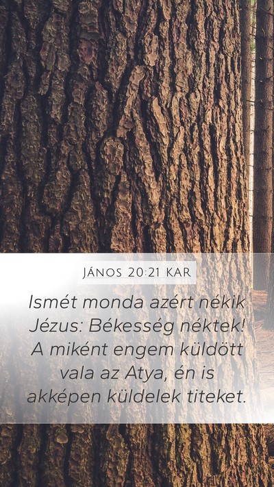 János 20:21 KAR Bible Verse Image