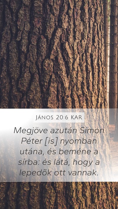 János 20:6 KAR Bible Verse Image