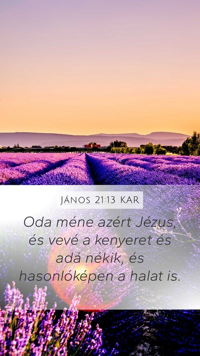 János 21:13 KAR Bible Verse Image