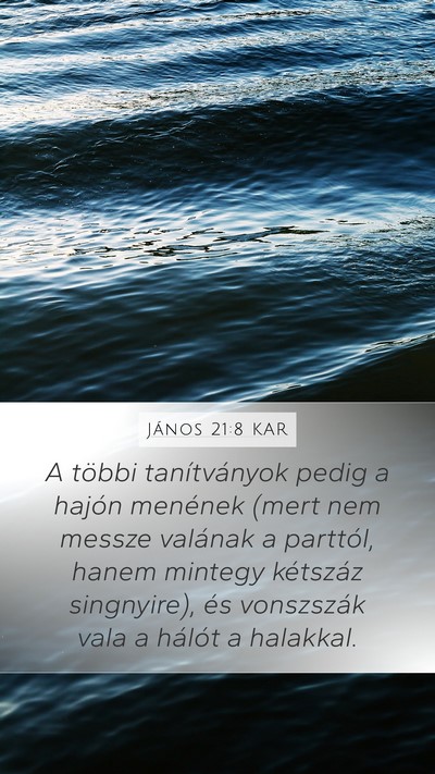 János 21:8 KAR Bible Verse Image