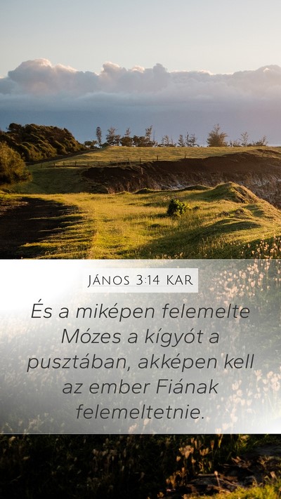 János 3:14 KAR Bible Verse Image