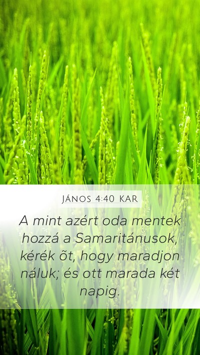János 4:40 KAR Mobile Phone Wallpaper - A mint azért oda mentek hozzá a Samaritánusok, - Mobile Bible Verse Wallpaper