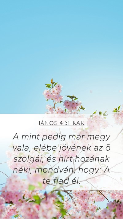 János 4:51 KAR Mobile Phone Wallpaper - A mint pedig már megy vala, elébe jövének az - Mobile Bible Verse Wallpaper