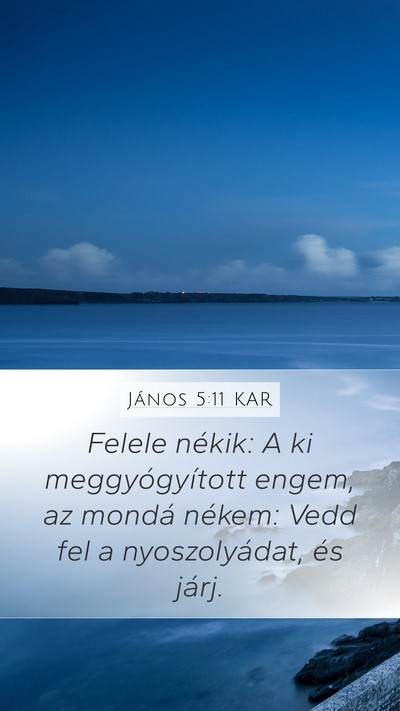 János 5:11 KAR Mobile Phone Wallpaper - Felele nékik: A ki meggyógyított engem, az - Mobile Bible Verse Wallpaper