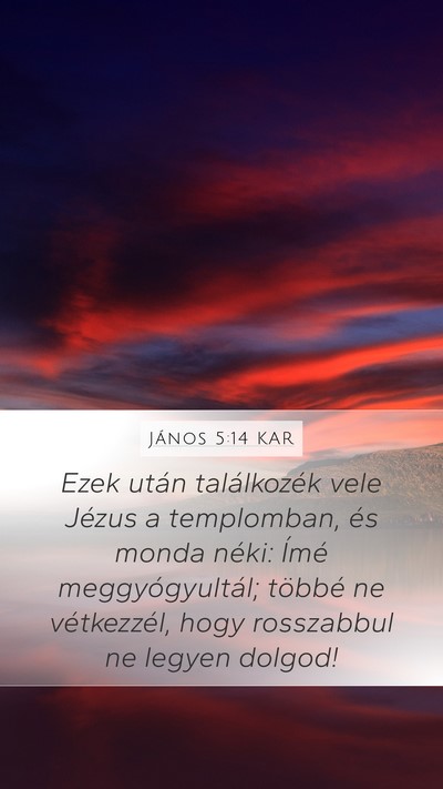 János 5:14 KAR Bible Verse Image