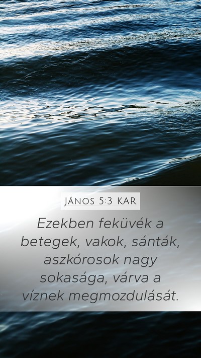János 5:3 KAR Bible Verse Image