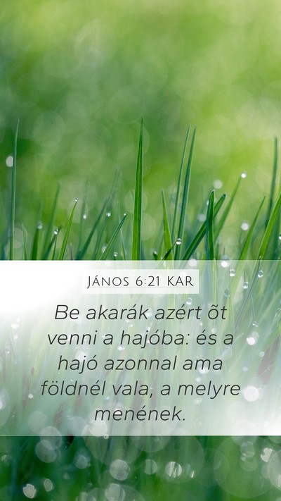 János 6:21 KAR Bible Verse Image