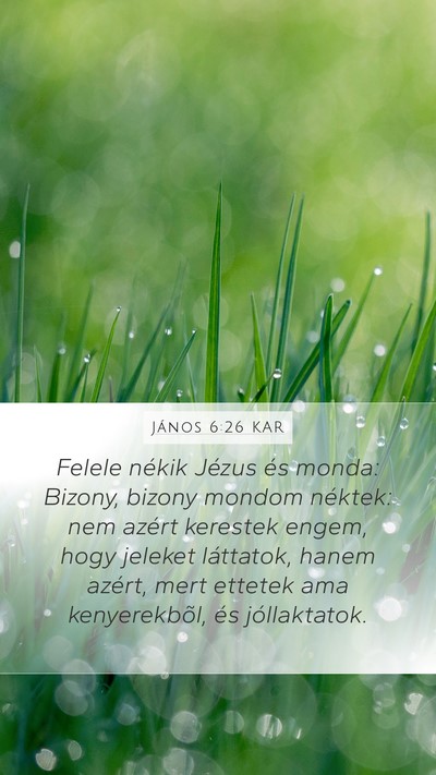 János 6:26 KAR Bible Verse Image