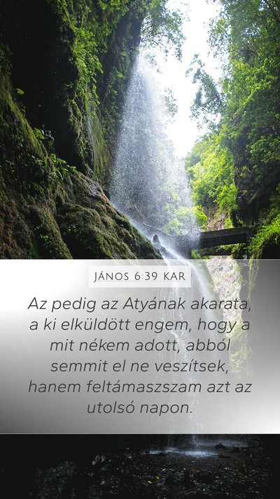 János 6:39 KAR Bible Verse Image