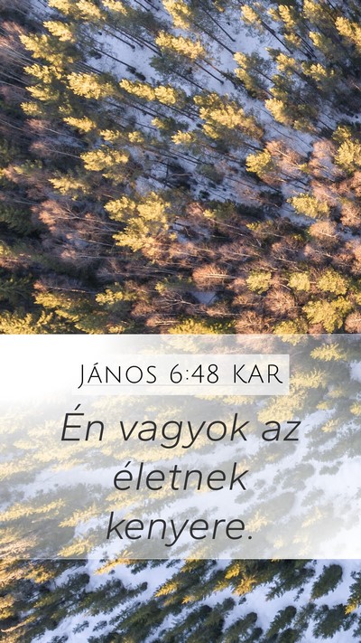 János 6:48 KAR Bible Verse Image
