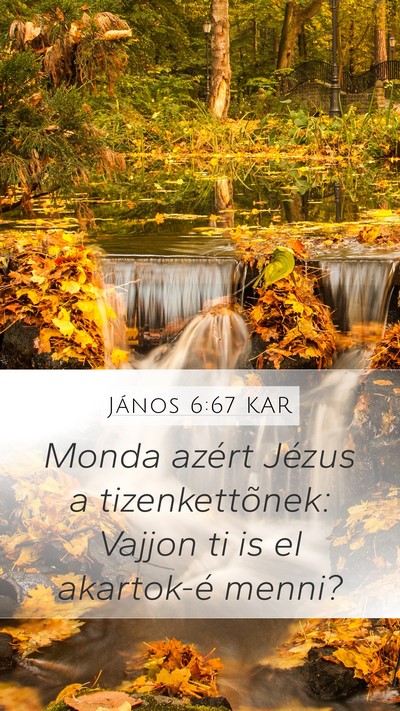 János 6:67 KAR Mobile Phone Wallpaper - Monda azért Jézus a tizenkettõnek: Vajjon ti - Mobile Bible Verse Wallpaper