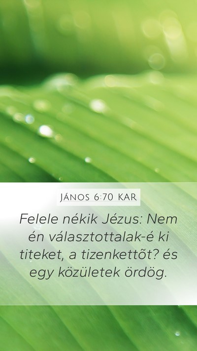 János 6:70 KAR Mobile Phone Wallpaper - Felele nékik Jézus: Nem én választottalak-é - Mobile Bible Verse Wallpaper