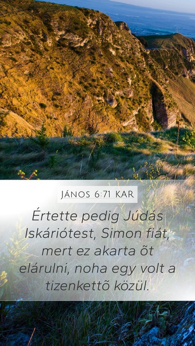 János 6:71 KAR Bible Verse Image